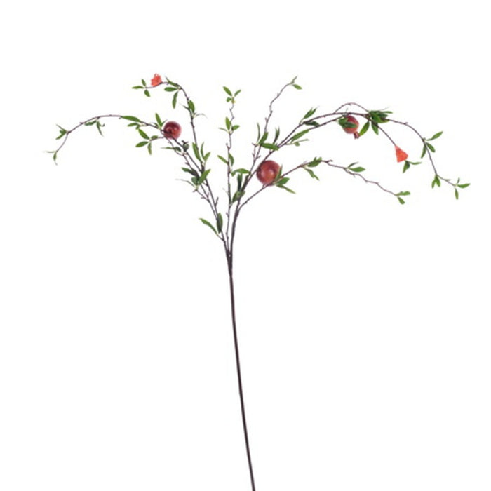 51 in Weeping Pomegranate Branch - Rust/Green