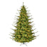 7.5 ft St. Helen's Pine Tree