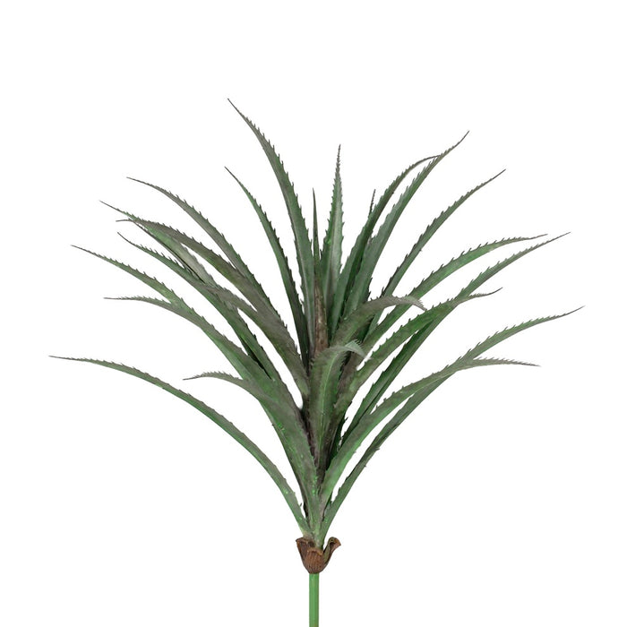 20"L Pe Pandan Leaf Plant - Pink/Green