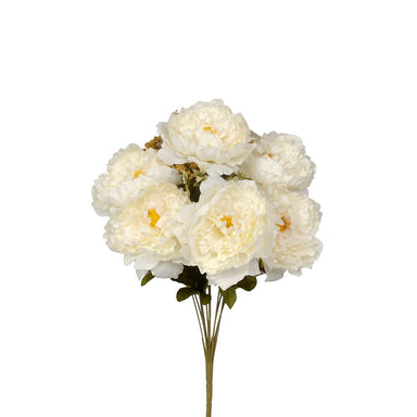 Peony Bush & Filler - Cream