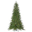 12' Nordmann Fir Tree - Green