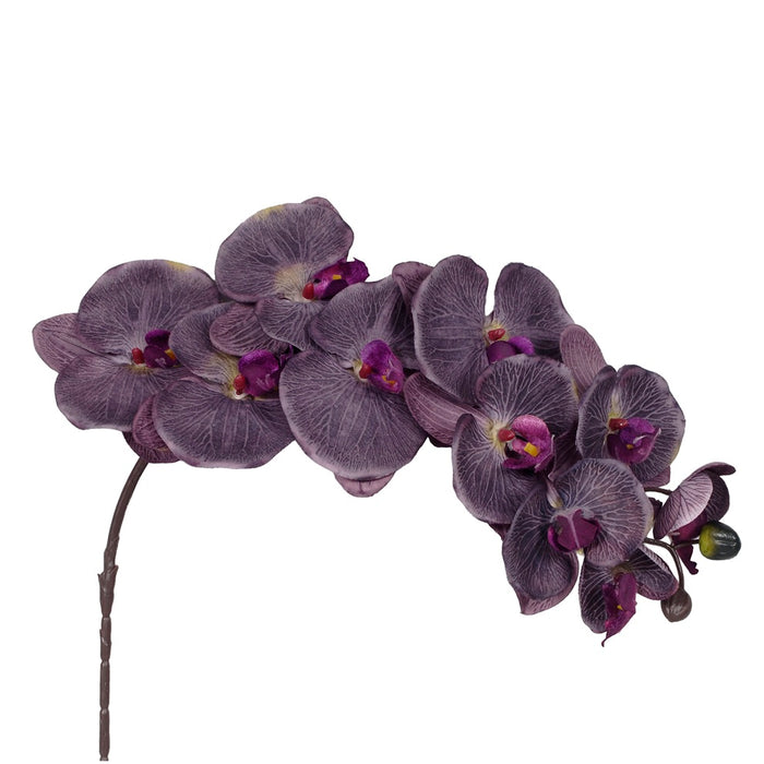 38" Polyester Phalaenopsis