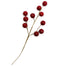 17" Weather Resistant Large Coated Ball Spray - Shiny Red