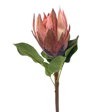 23.5" King Protea - Pink