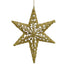 Trim and Jewel Star Ornament - Gold/Silver