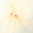 6" Sparkle Tulle