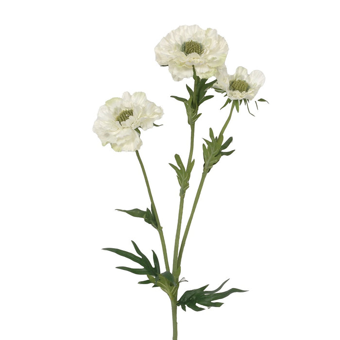 28" Scabiosa Spray - White