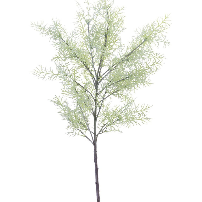 44 in Springeri Spray - Frosted Green