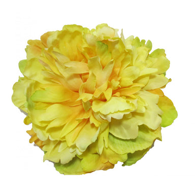 Peony Yellow