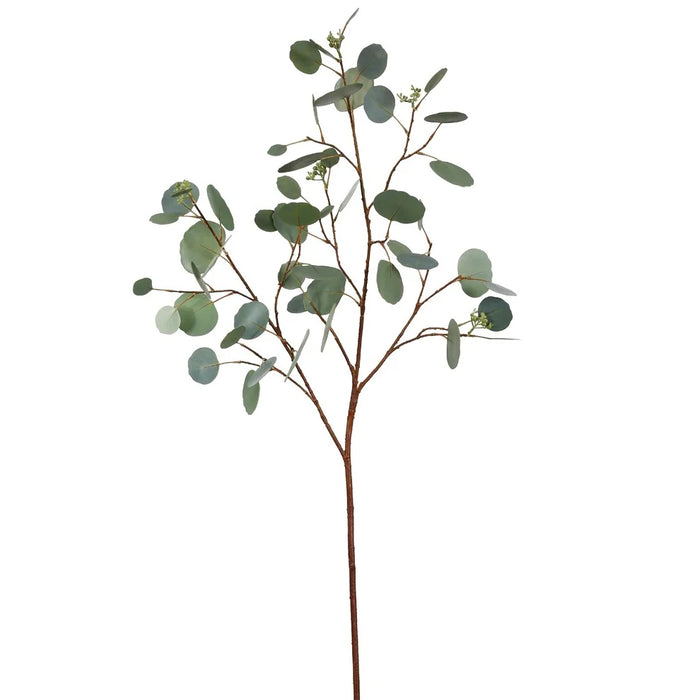 43" Seeded Dollar Eucalyptus Stem - Green