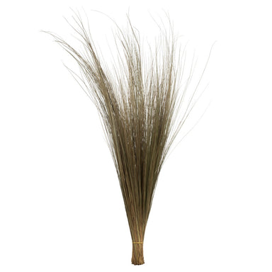 35-40" Natural Bright Grass - 8oz Bunch, 2 Pack