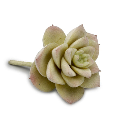 3" Succulent Pick Flock - Yellow/Green