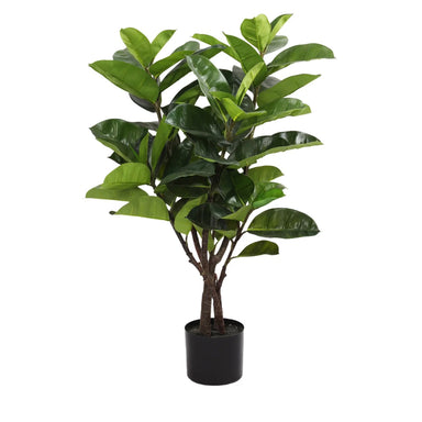 3' Rubber Tree w/Pot - Green