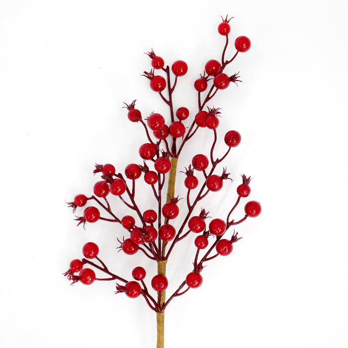 Rosehip Berry Spray