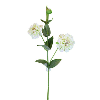 24 in Zinnia Spray