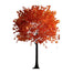 6.5' Maple Tree - Orange