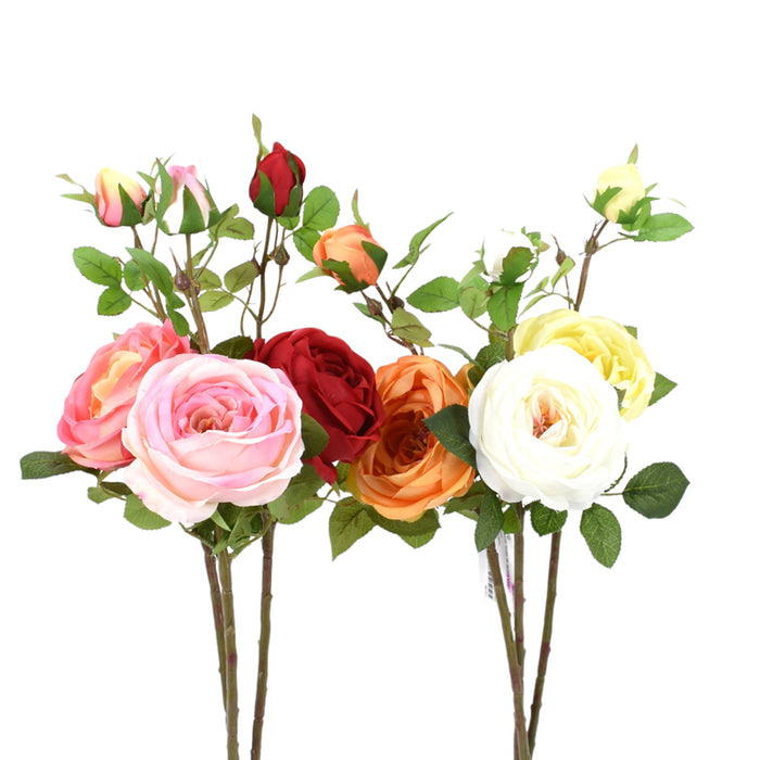 24" Cabbage Rose w/Bud
