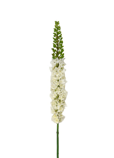 45 in Foxtail Lily - White