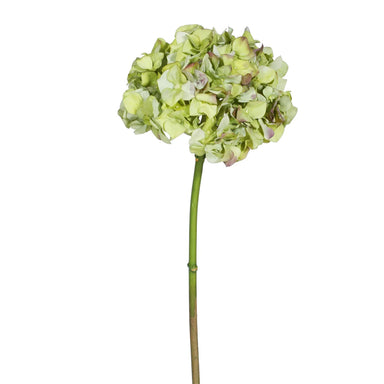 19" Hydrangea Stem - Green