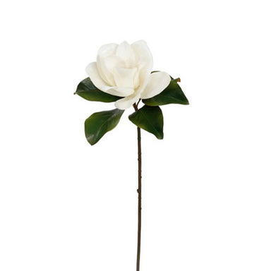 29 in Magnolia - Two-Tone White