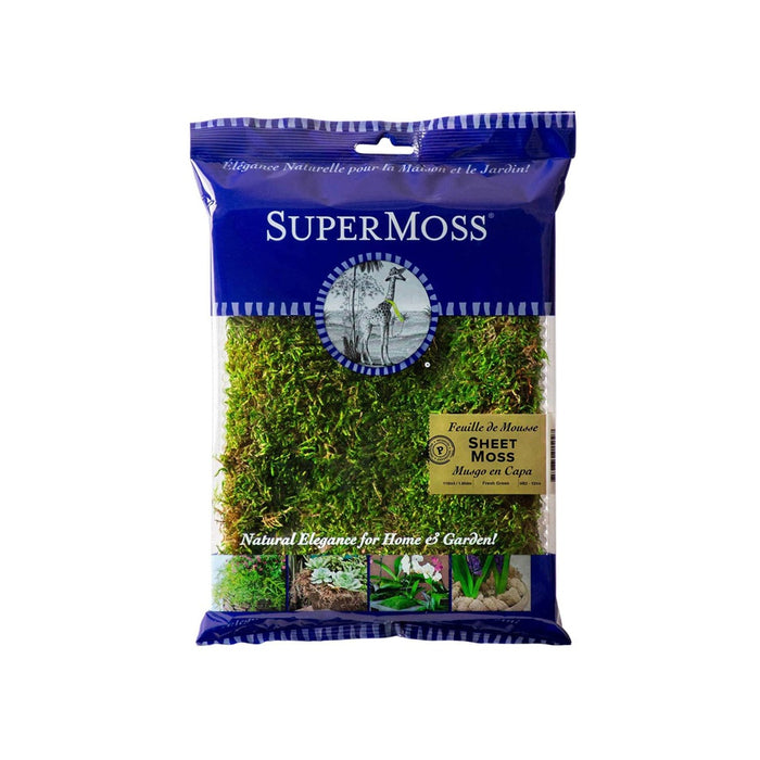 Sheet Moss Bulk