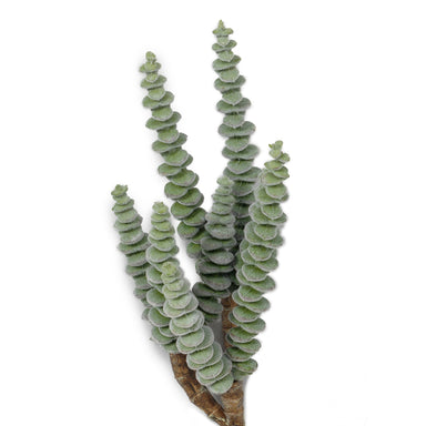 11 1/2" Succulent Pick - Grey/Green