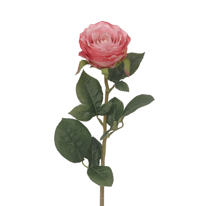 27 in Polyester Rina Rose