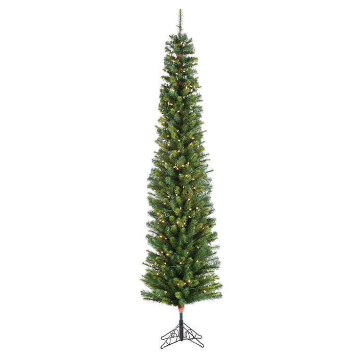 9' Darwin Pencil Tree