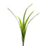 38 in Saw Leaf Plant