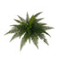 26 in Leather Fern Bush - Green
