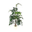 6 ft Fish Tail Tree - Green