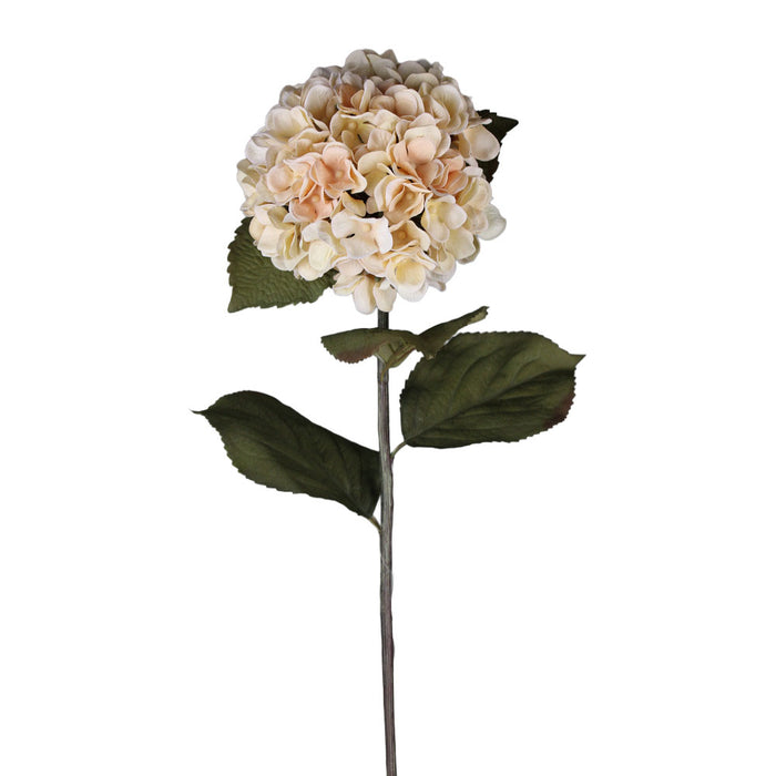 30 in Hydrangea Stem - Cream
