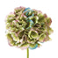 Collosal Hydrangea Spray - Natural Green