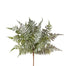 Leather Fern Bush Grey/Green
