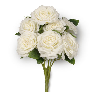 20 in Rose Bush White