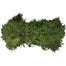 Arbor-Vitae Bale - Northern Greens