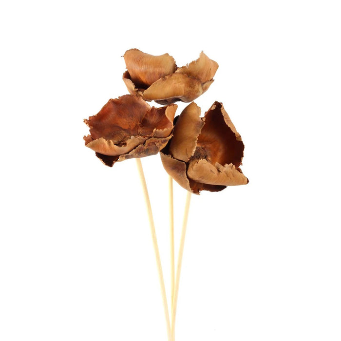 18 in Palm Cap Pick - Natural