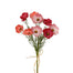 19 in Poppy Bundle - Coral/Burgundy