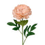 28" Polyester Large Cabbage Peony - Bisque