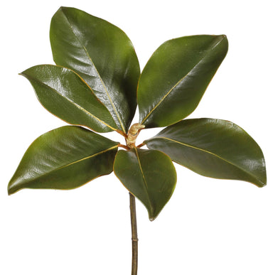 14" Magnolia Leaf - Green