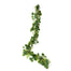 6' Eucalyptus Fern Garland - Green