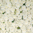 95 in Polyester Peony/Rose/Hydrangea On Fabric Drape With Ties - White