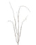 48 in Willow Twig Spray