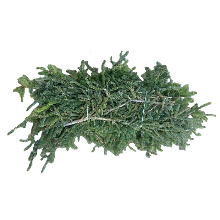Spruce Bale