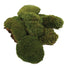 Mood Moss