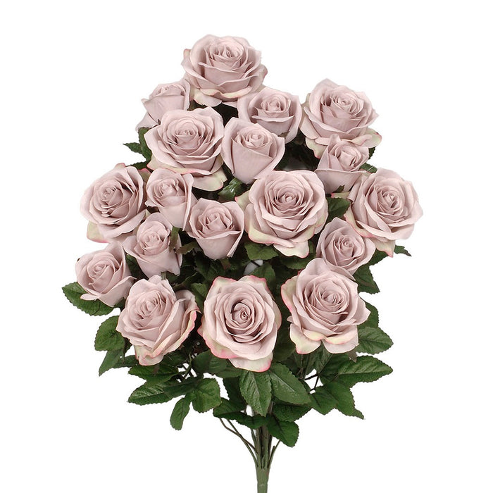 Grandiflora Rose Bush