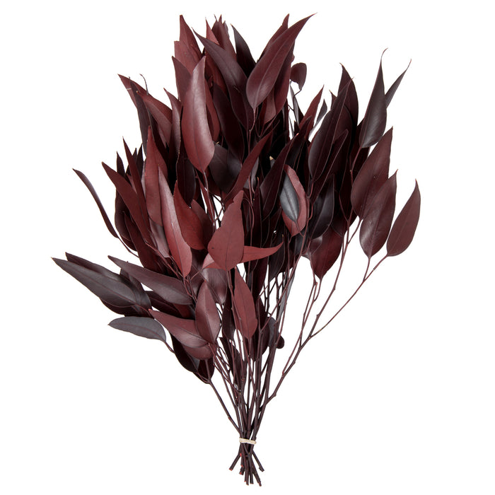 18" Red Willow Eucalyptus