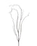 48 in Willow Twig Spray