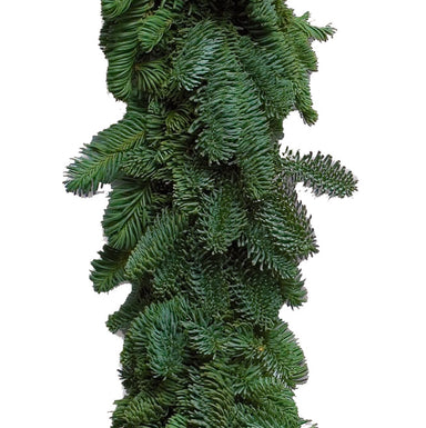 25' Noble Fir Roping