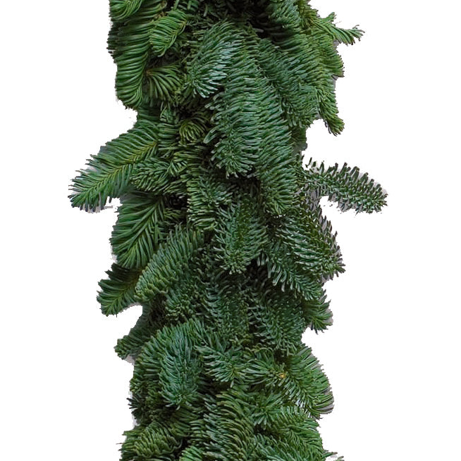 25' Noble Fir Roping